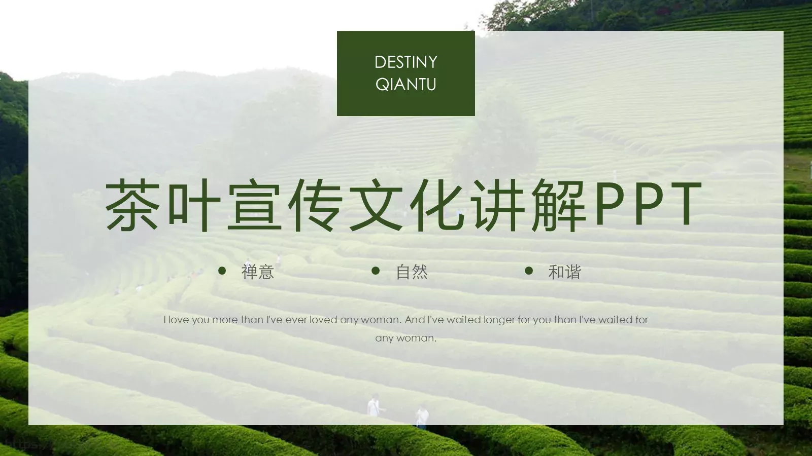 茶文化主题汇报PPT模板 第 24 页预览图