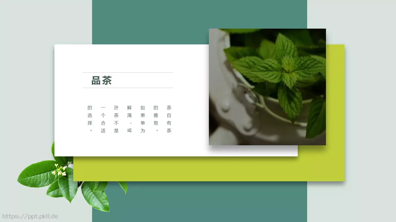 茶文化主题汇报PPT模板 第 2 页缩略图