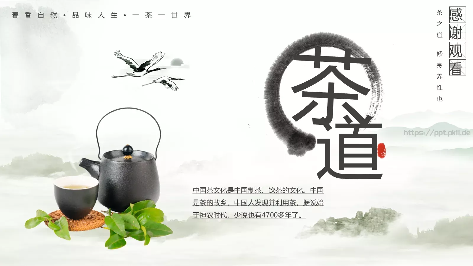 茶文化茶道茶艺礼仪中国风PPT模板 第 31 页预览图