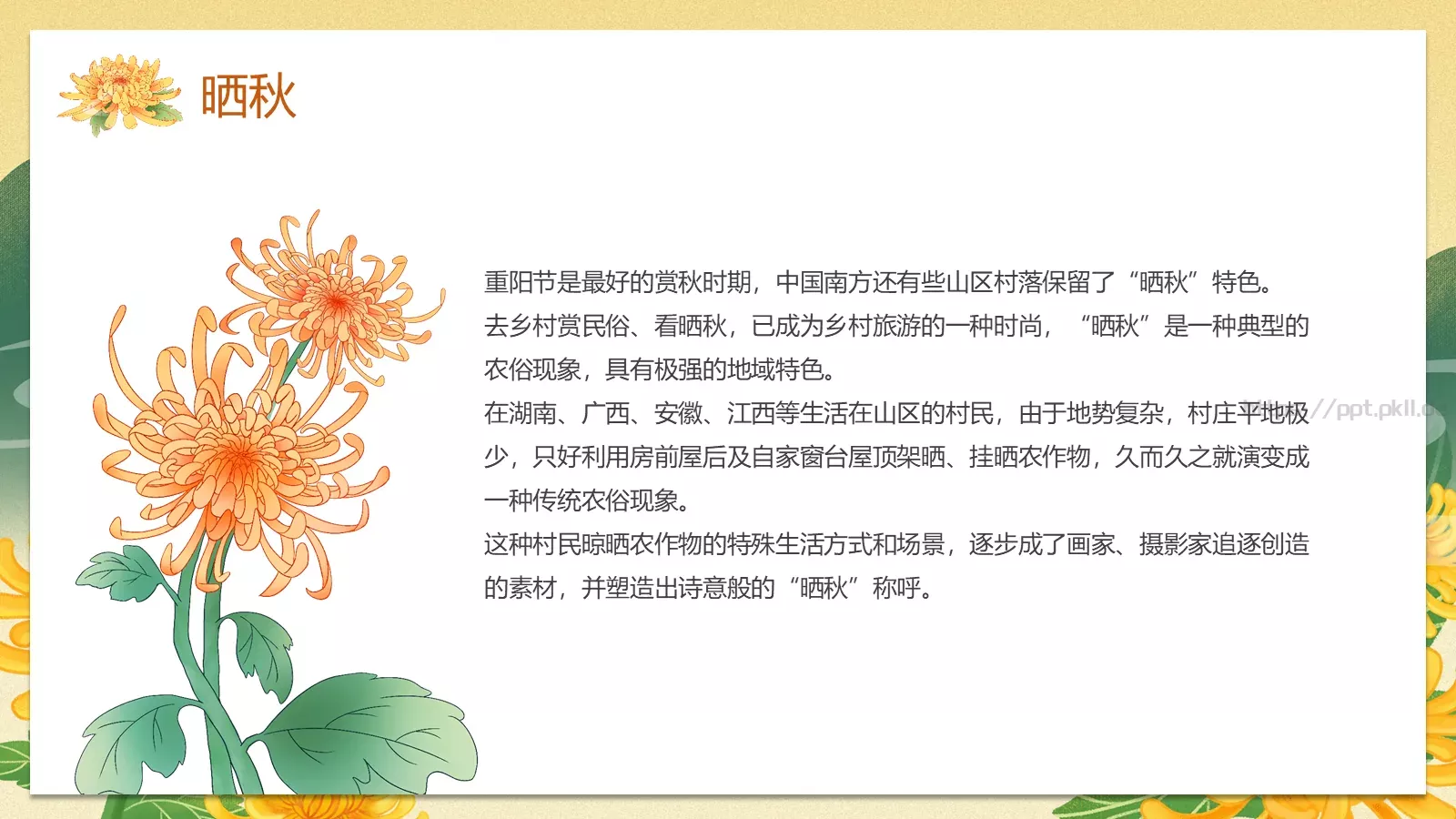 九九重阳节国潮风PPT模板 第 8 页预览图