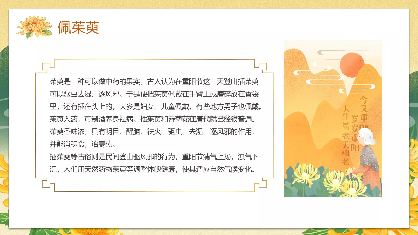 九九重阳节国潮风PPT模板 第 18 页预览图