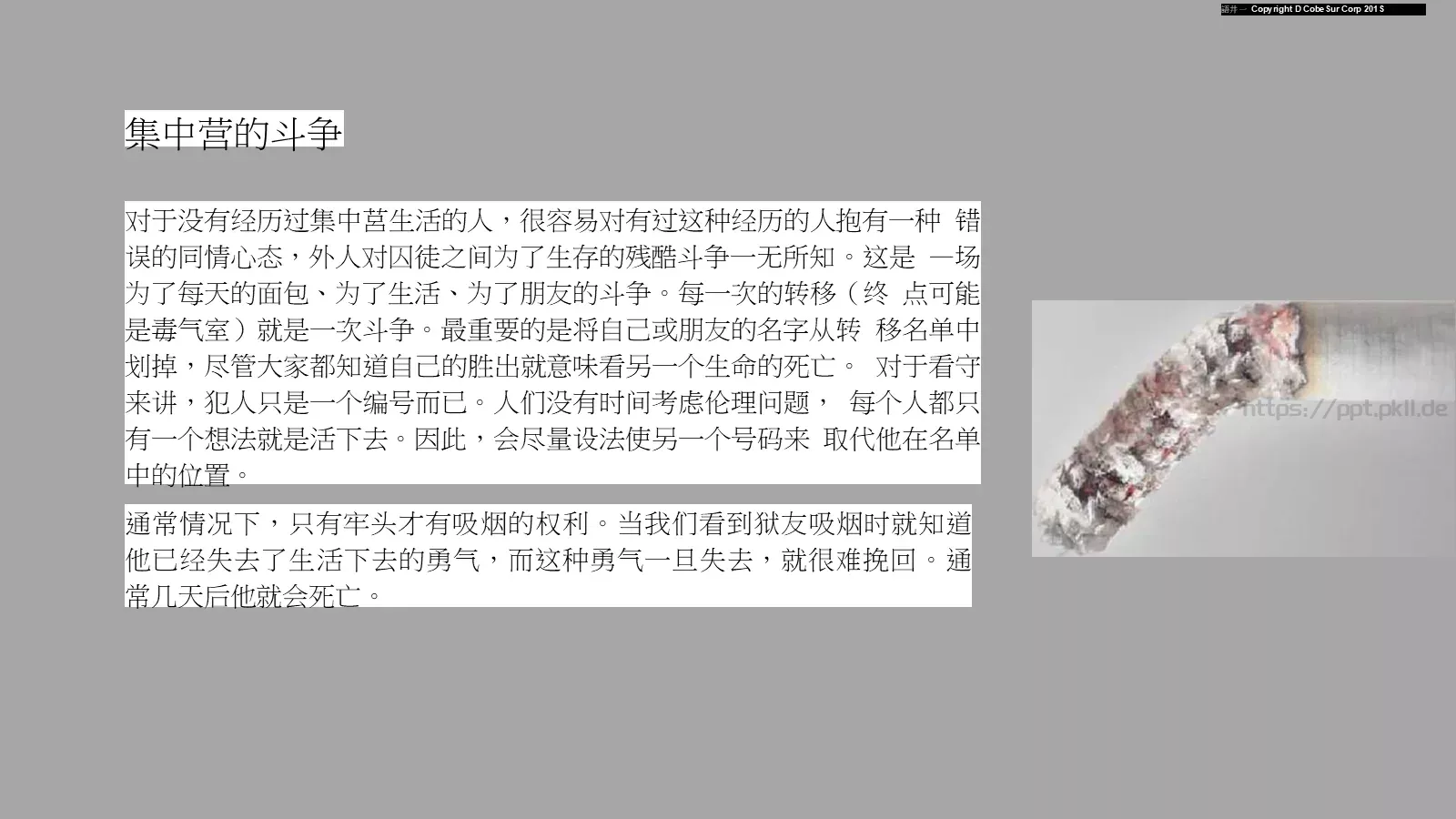 培训课件活出生命的意义 第 3 页缩略图