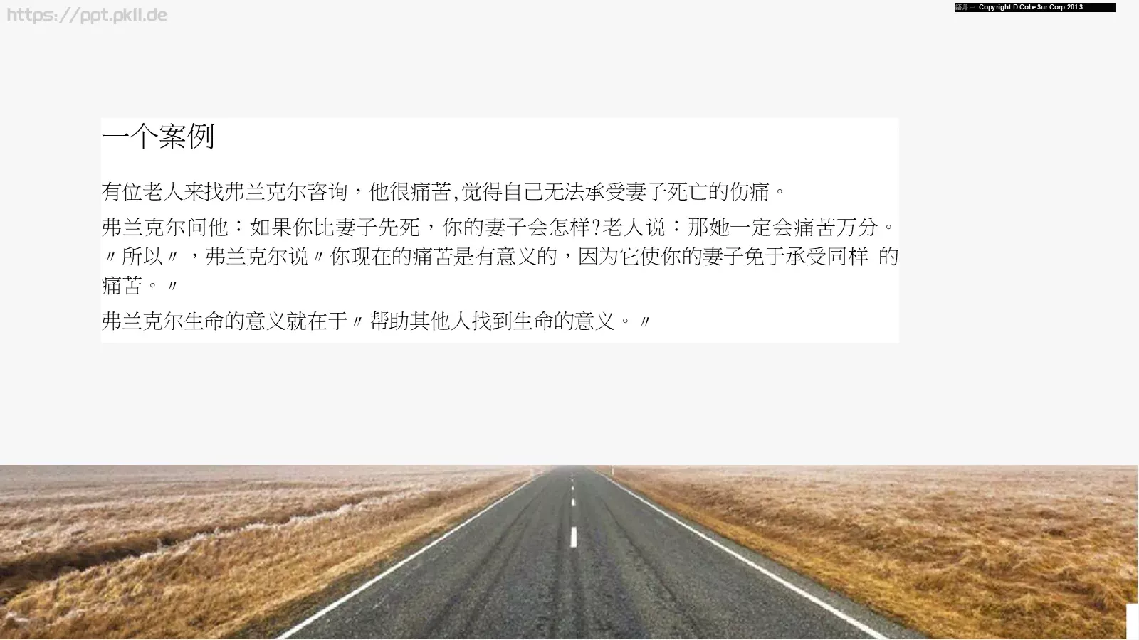 培训课件活出生命的意义 第 19 页预览图
