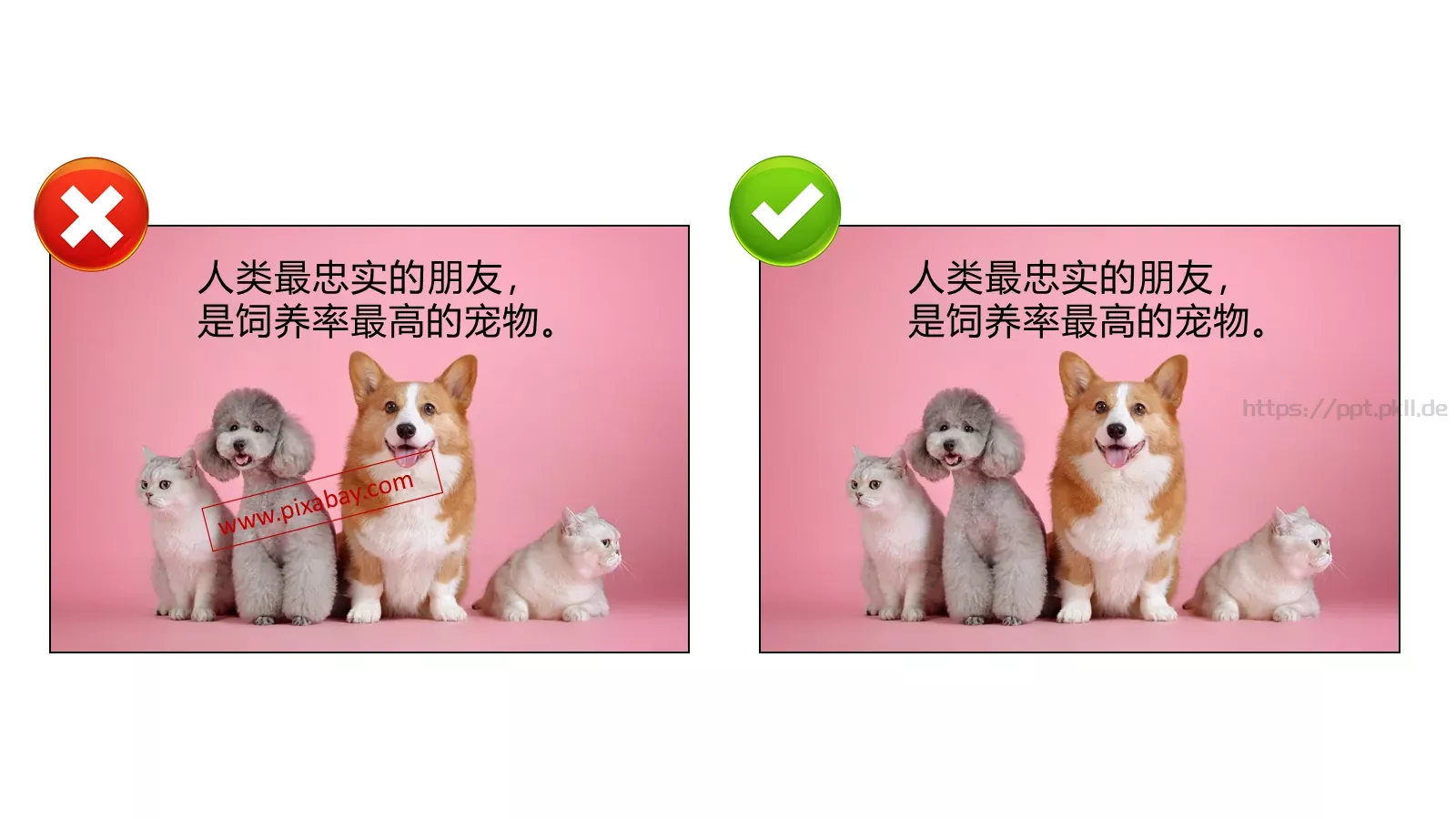 教育培训培训课件 第 6 页预览图