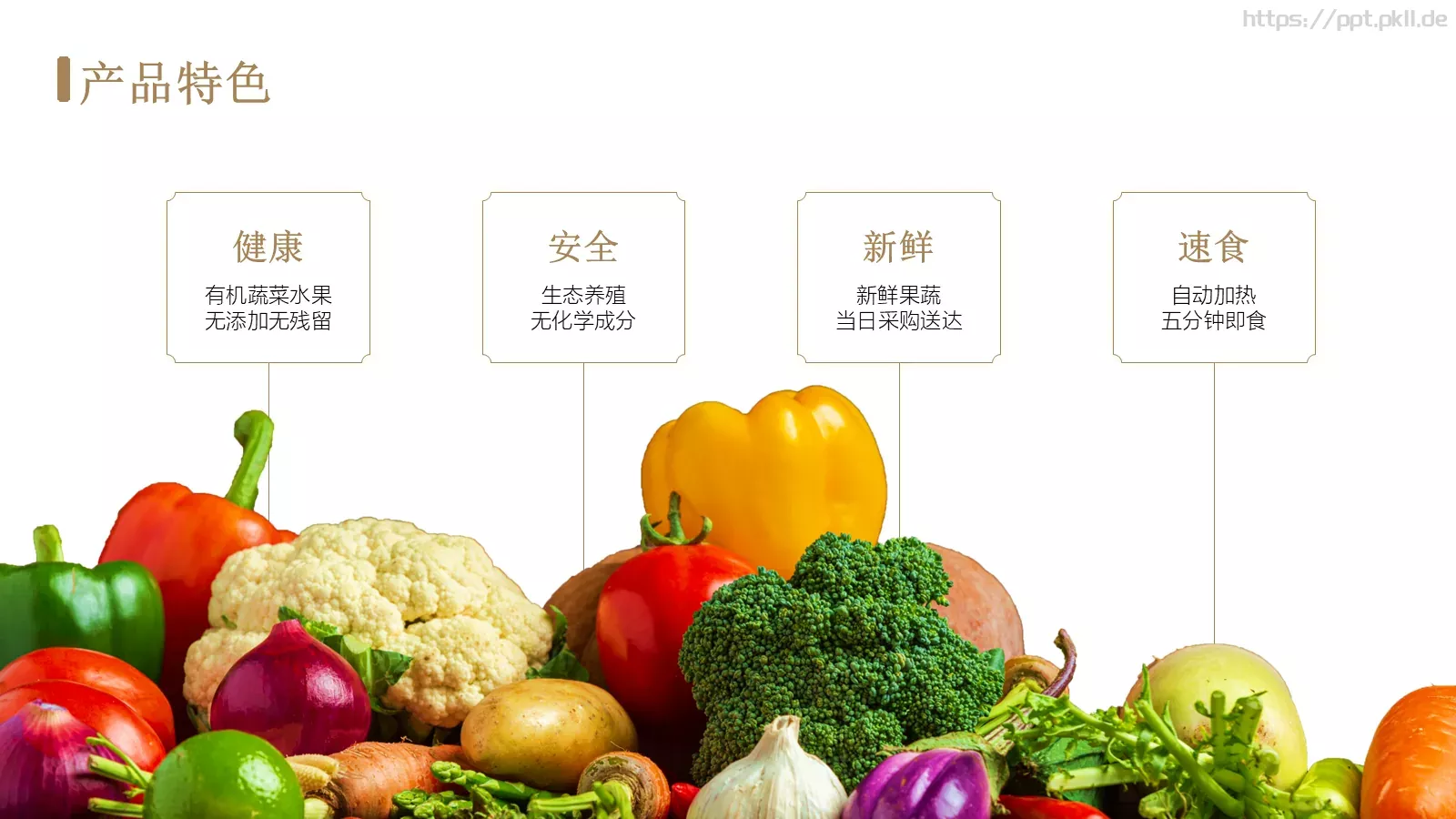 美食招商计划书PPT模板 第 12 页预览图