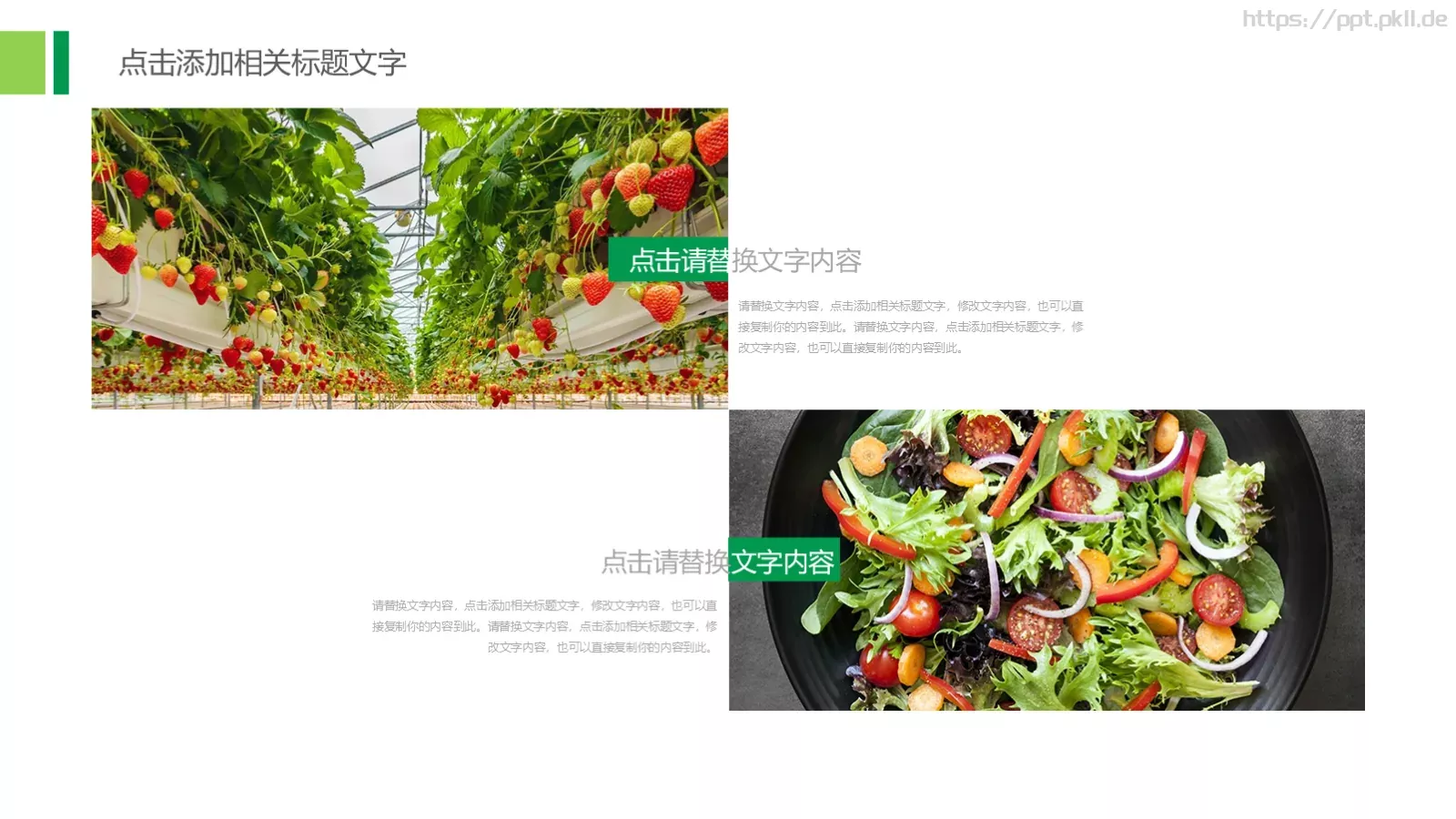 农业招商农产品宣传PPT模板 第 10 页预览图