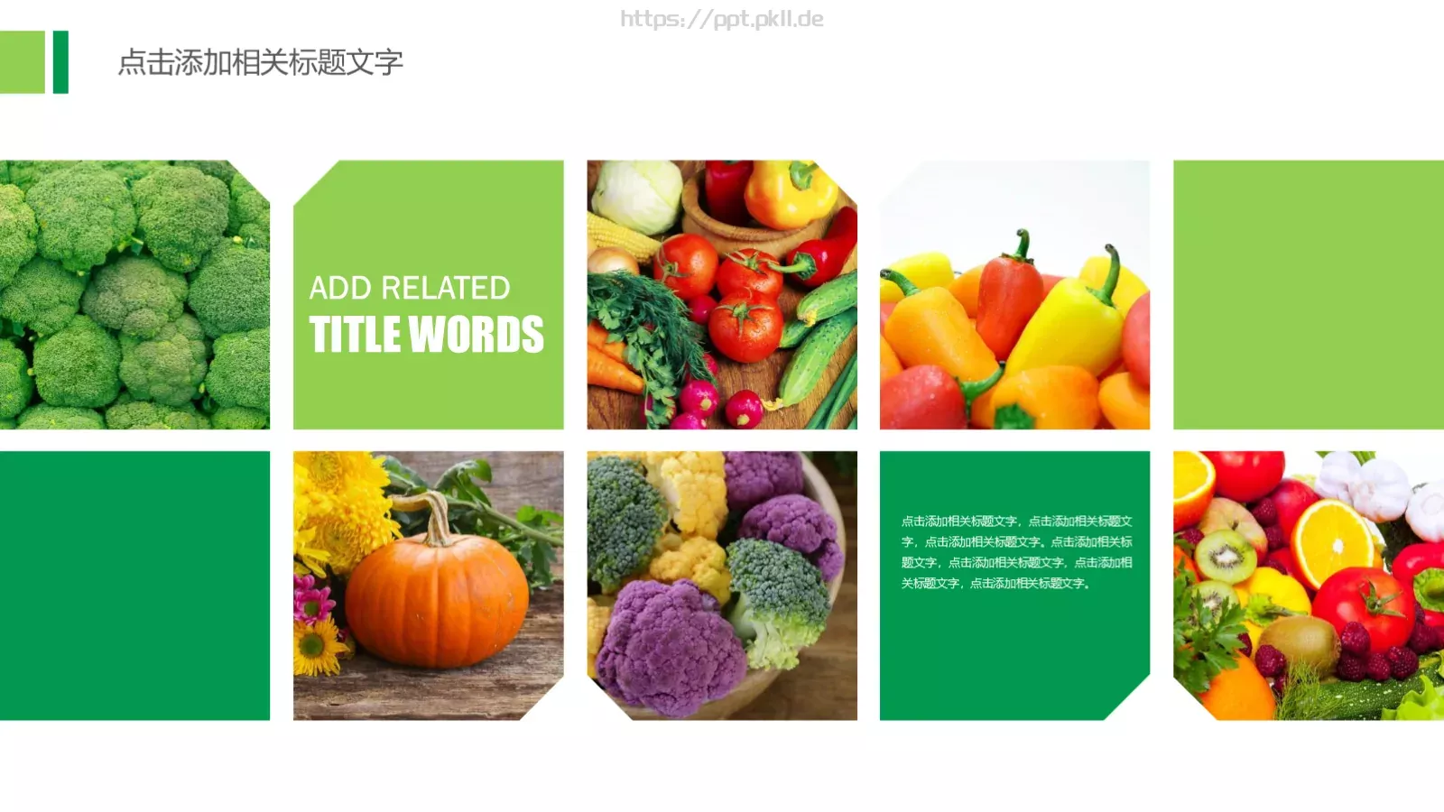 农业招商农产品宣传PPT模板 第 17 页预览图