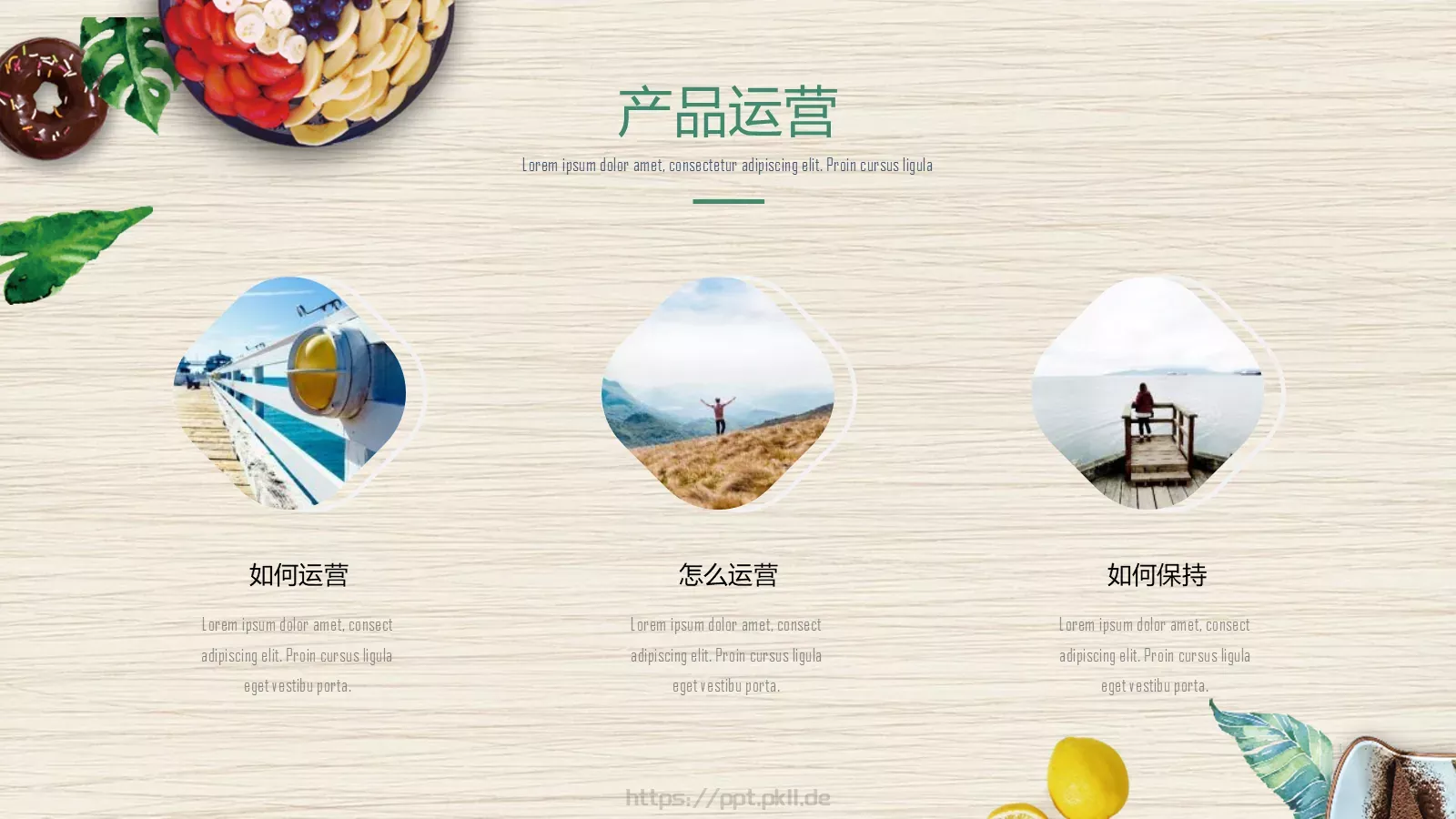 餐饮招商商业计划书PPT模板 第 13 页预览图