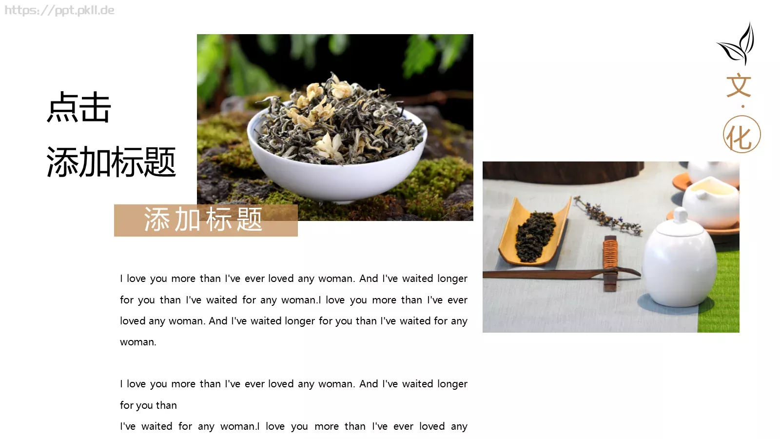 茶文化茶道宣传画册PPT模板 第 17 页预览图