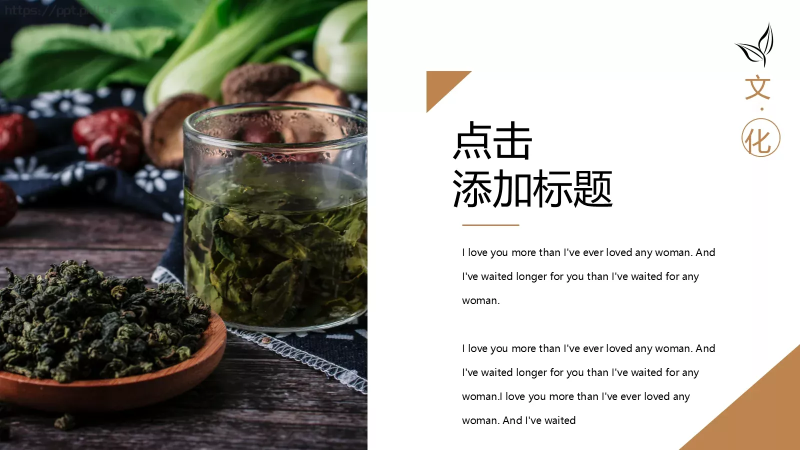 茶文化茶道宣传画册PPT模板 第 19 页预览图