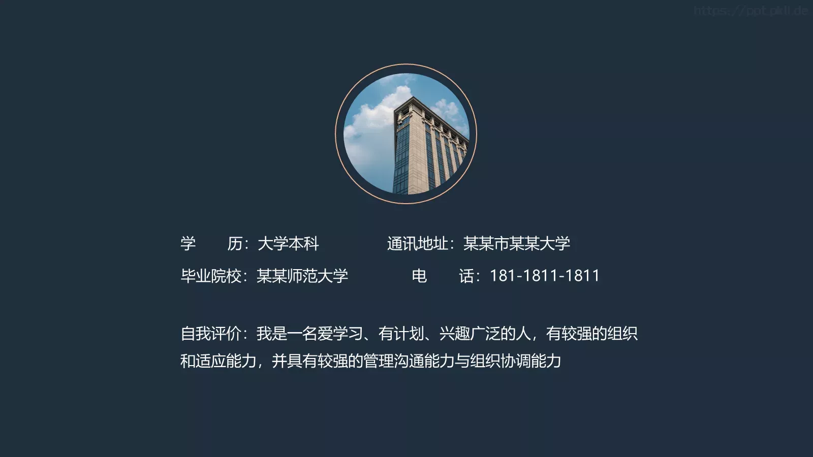 简约黑金个人简历PPT模板 第 4 页缩略图
