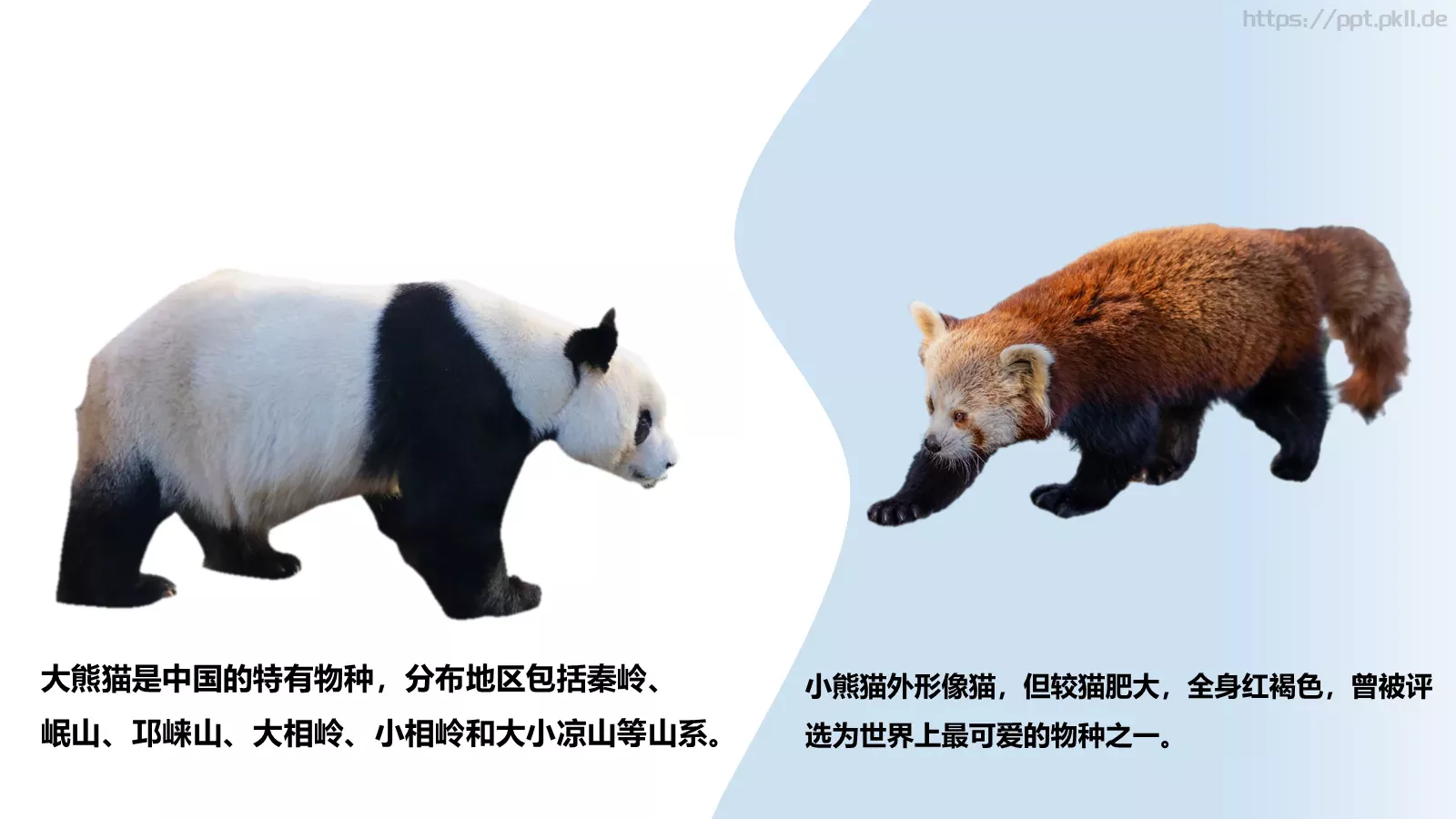 用减法而不是加法思考课程课件 第 5 页预览图