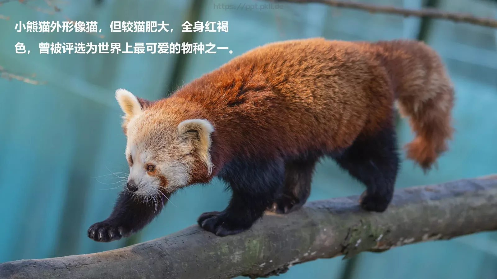 用减法而不是加法思考课程课件 第 7 页预览图