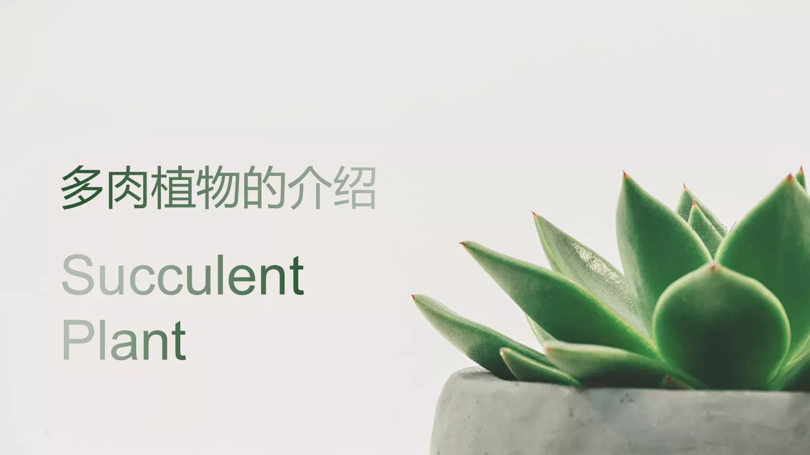 用减法而不是加法思考课程课件 第 11 页预览图