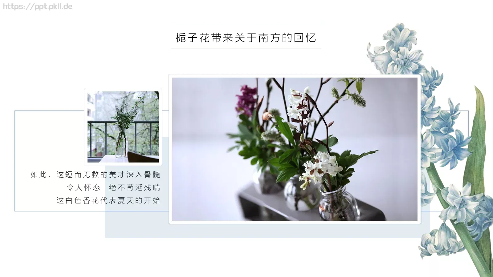 一簇蓝色精灵的小确幸PPT模板 第 8 页预览图