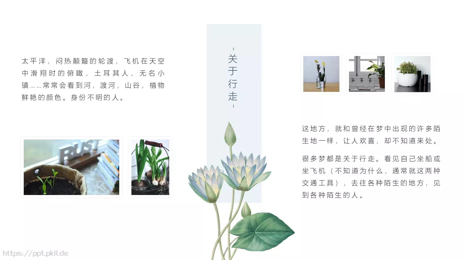 一簇蓝色精灵的小确幸PPT模板 第 12 页预览图