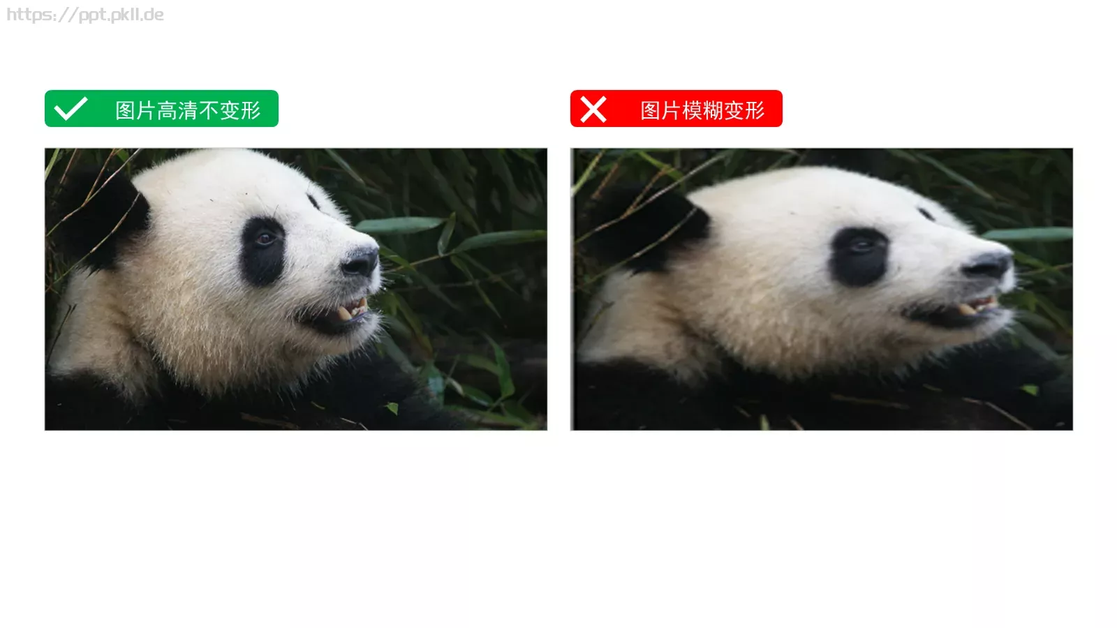 培训课件文字对齐 第 7 页预览图