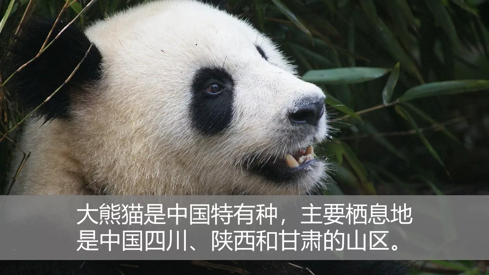 培训课件文字对齐 第 16 页预览图