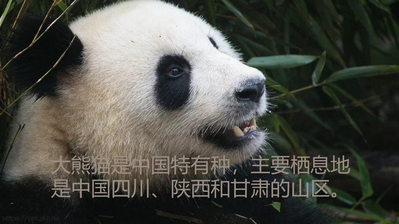 培训课件文字对齐 第 15 页预览图