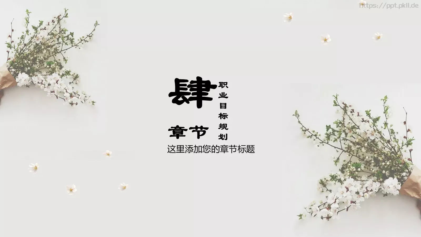 个人简历PPT模板 第 19 页预览图