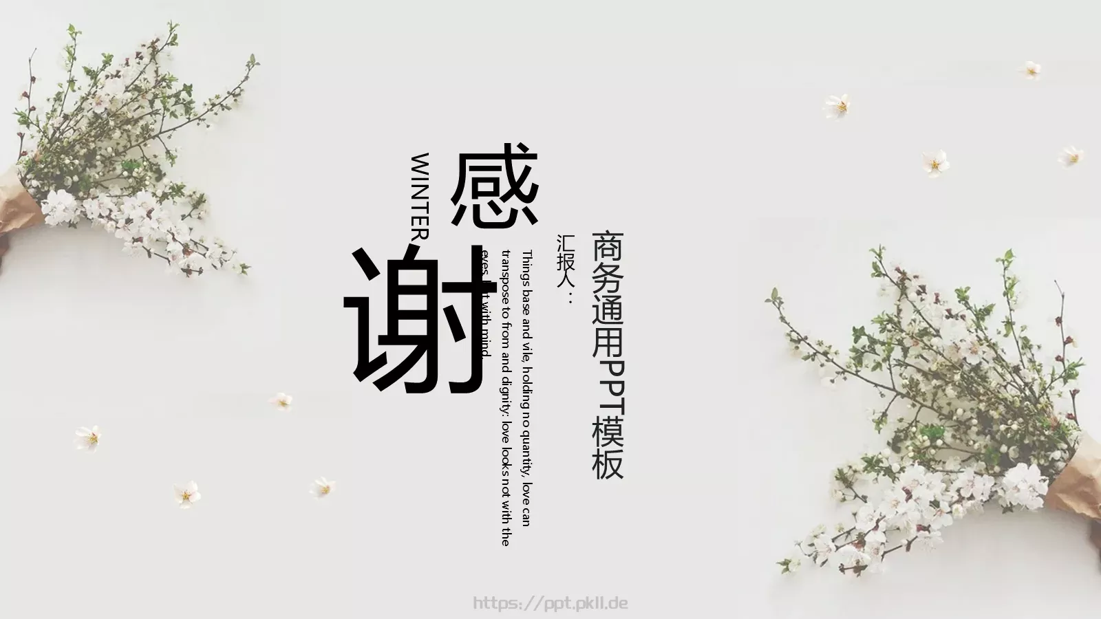 个人简历PPT模板 第 24 页预览图