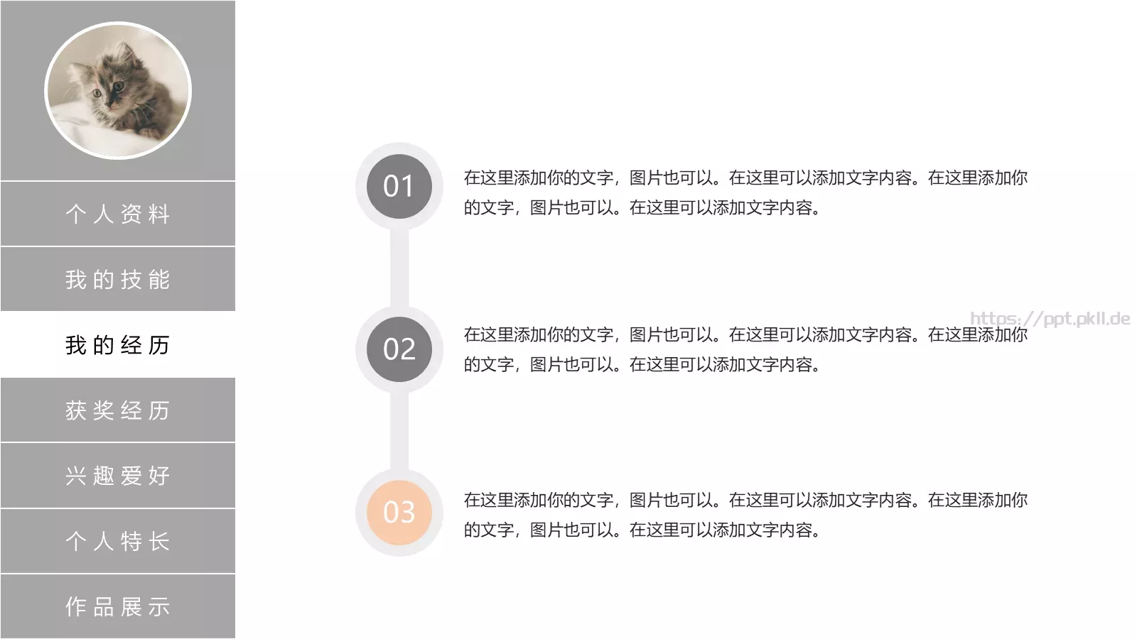 个人简历PPT模板 第 4 页缩略图