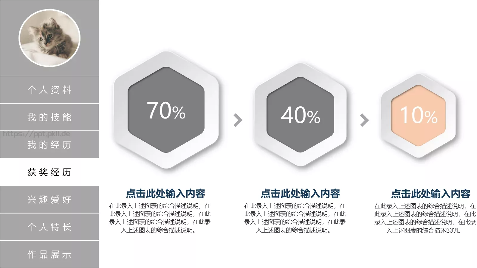 个人简历PPT模板 第 5 页预览图