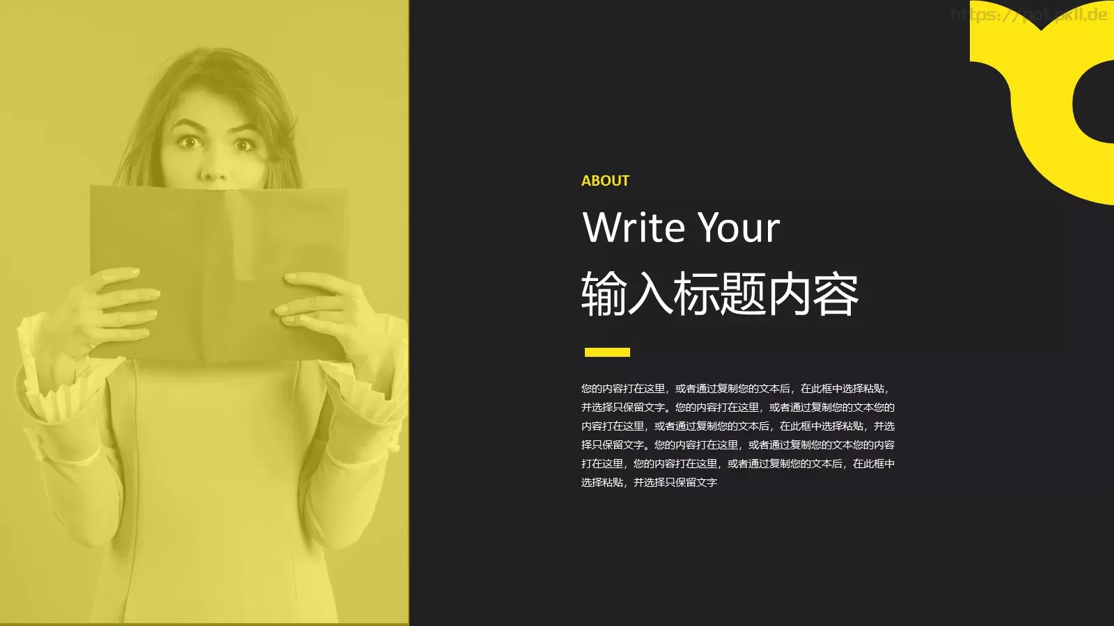 个人简历20XXPPT模板 第 4 页缩略图