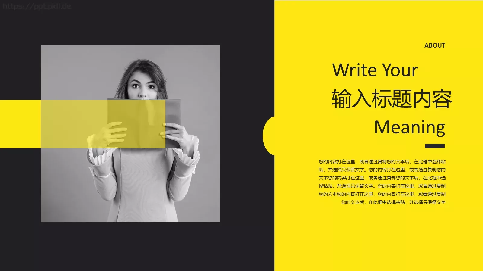 个人简历20XXPPT模板 第 17 页预览图