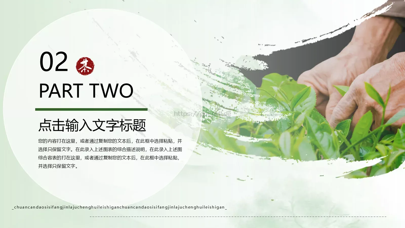 传统工艺春茶主题课件PPT模板 第 7 页预览图