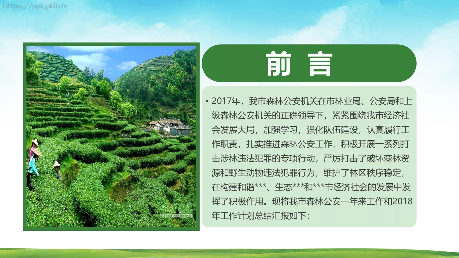 森林警察公安年终工作总结PPT模板 第 2 页缩略图