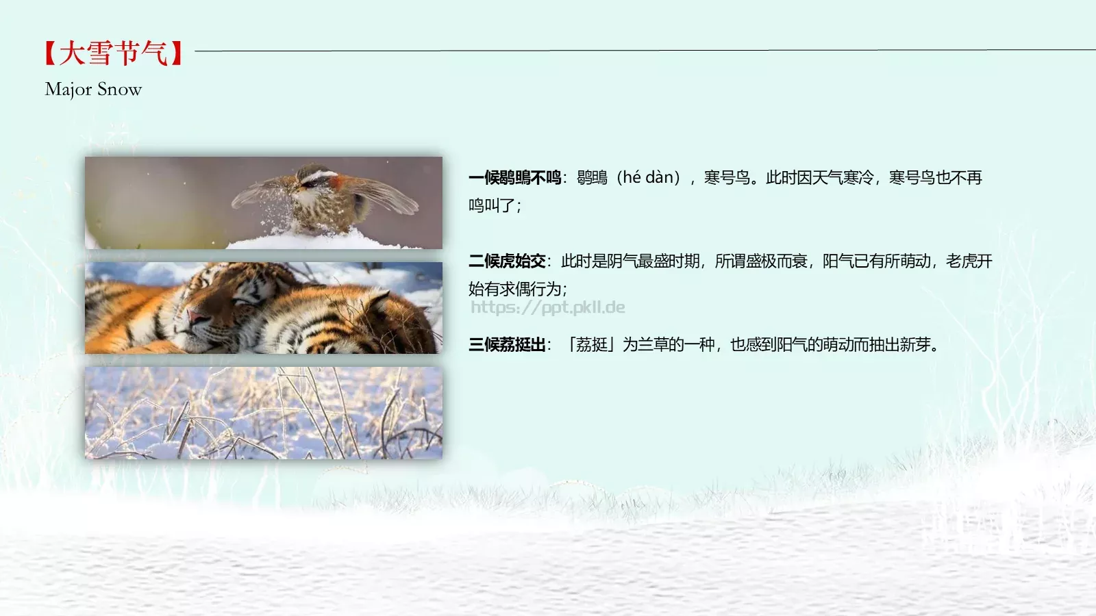 大雪通用PPT模板 第 7 页预览图