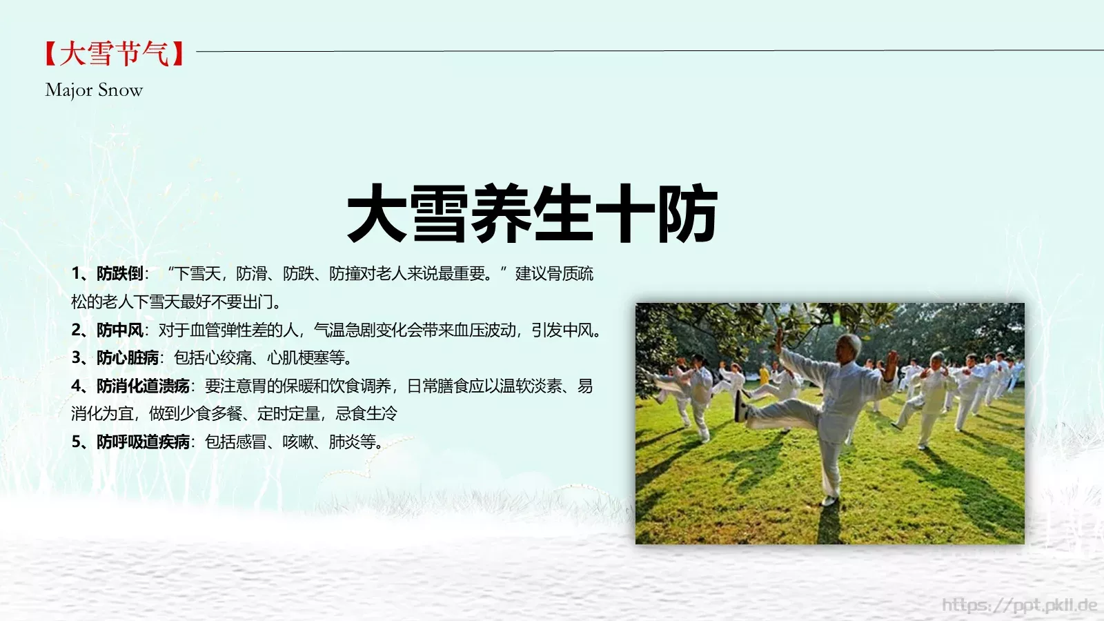 大雪通用PPT模板 第 21 页预览图