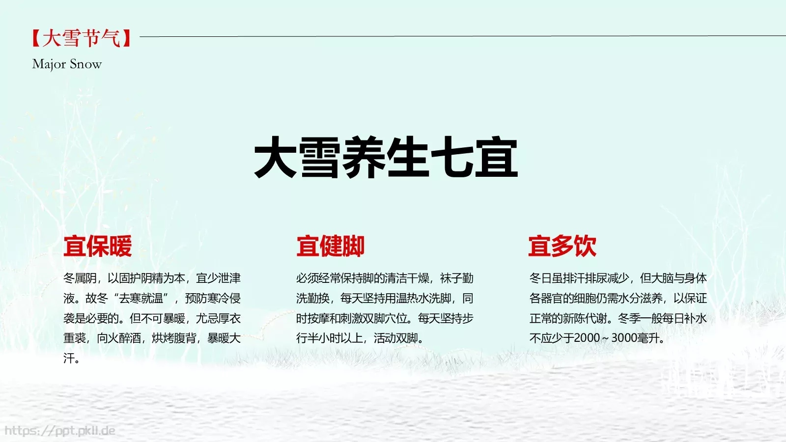 大雪通用PPT模板 第 19 页预览图