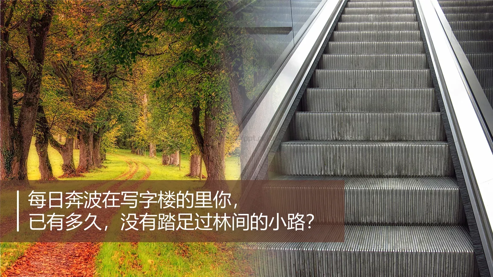 奥运海报复刻案例（学员版）PPT模板 第 6 页预览图