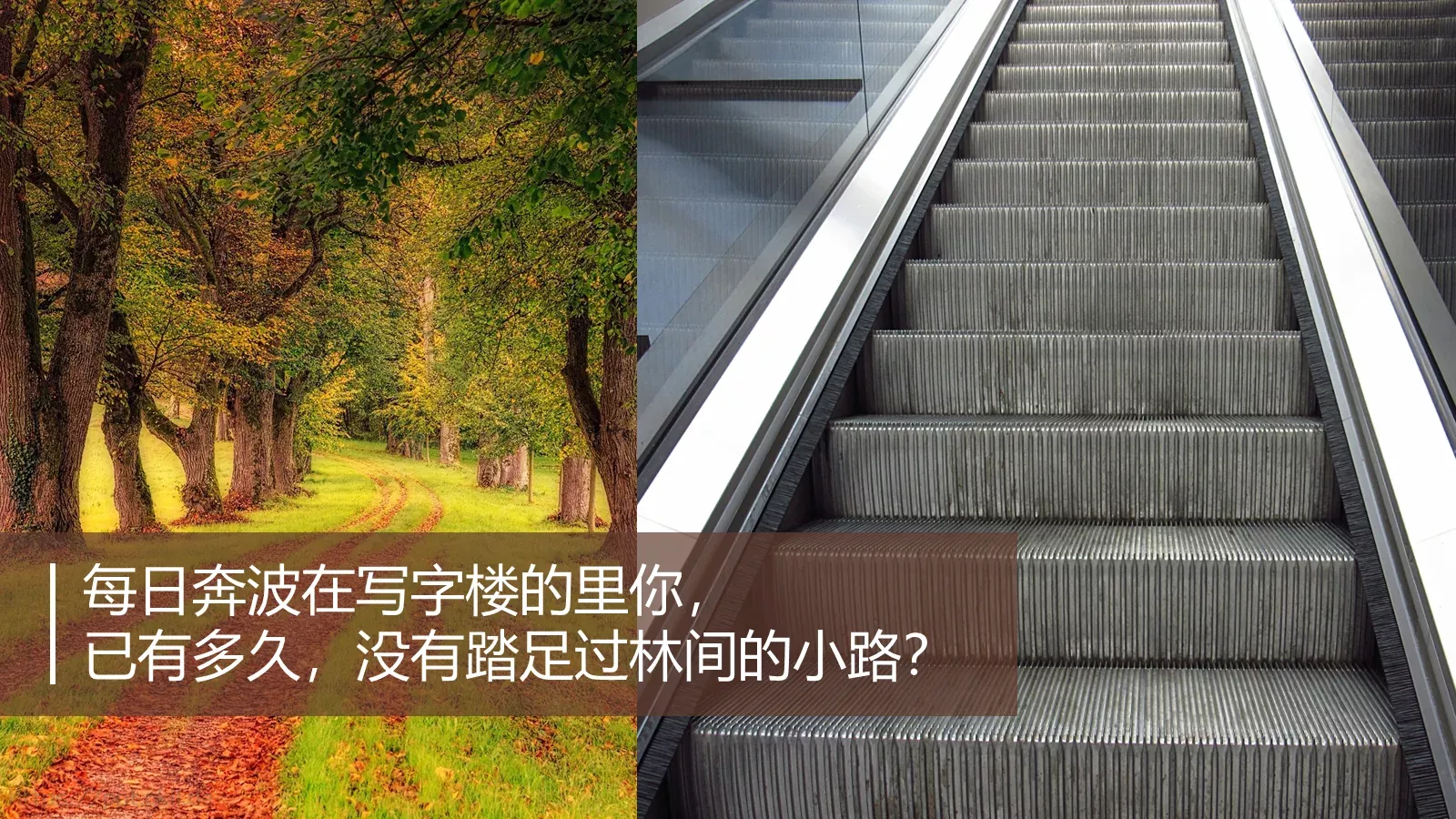 奥运海报复刻案例（学员版）PPT模板 第 5 页预览图