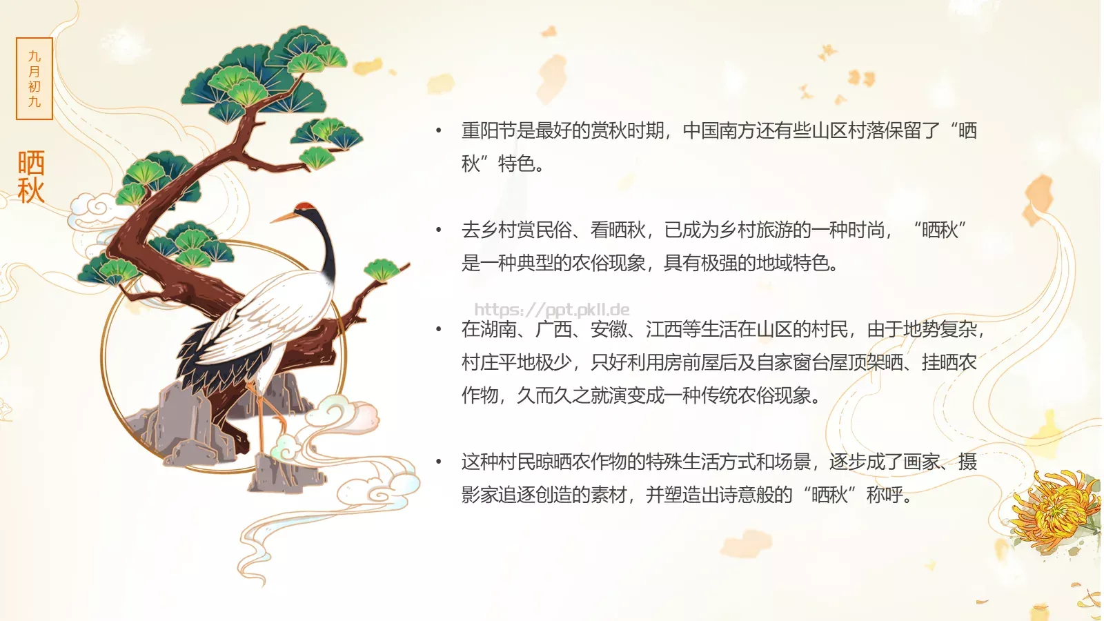 重阳节九月初九PPT模板 第 8 页预览图