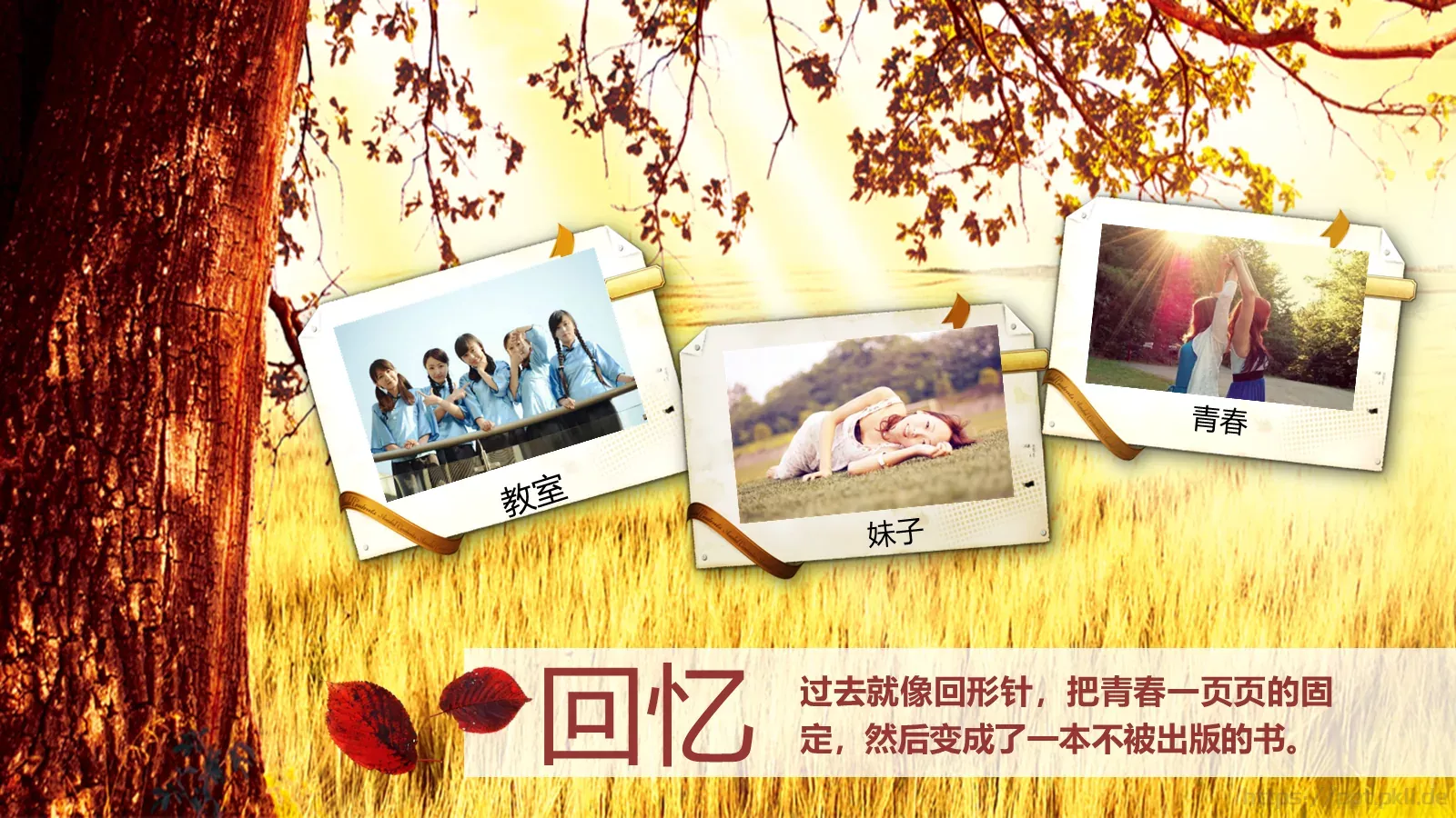 毕业答辩我们终将逝去的PPT模板 第 3 页缩略图