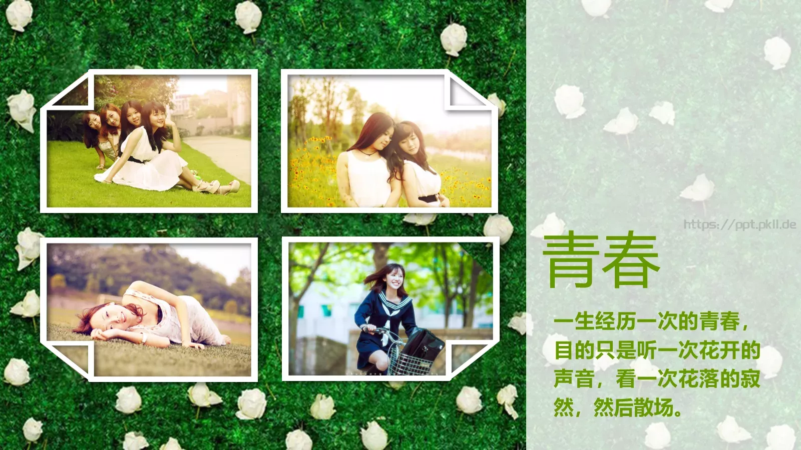 毕业答辩我们终将逝去的PPT模板 第 4 页缩略图