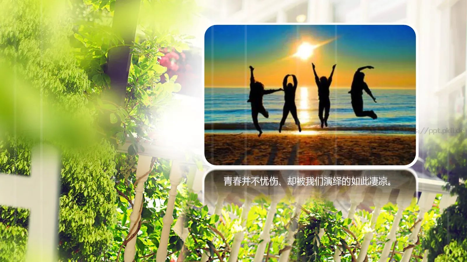 毕业答辩我们终将逝去的PPT模板 第 12 页预览图