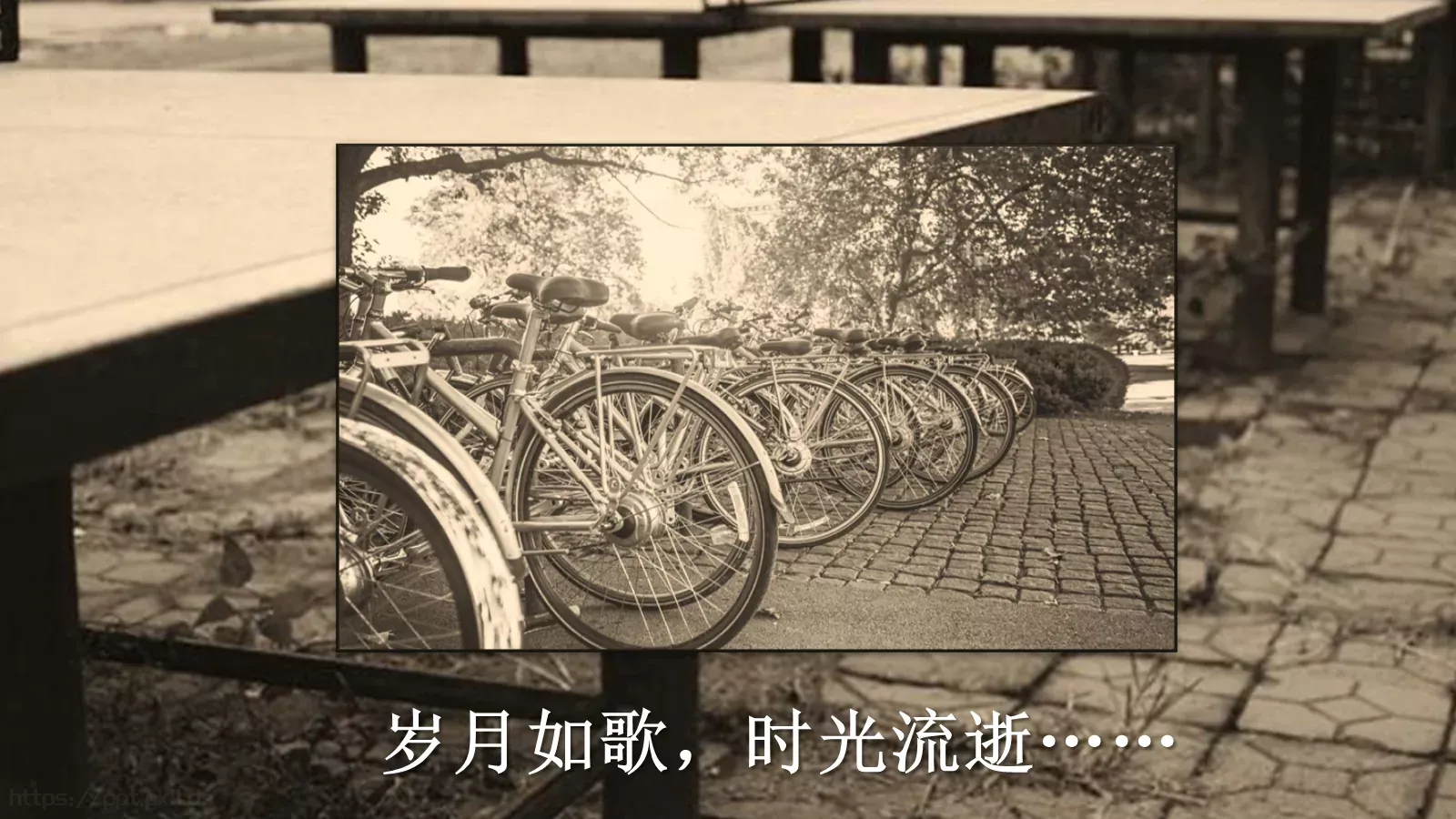 同学聚会纪念相册PPT模板 第 3 页缩略图
