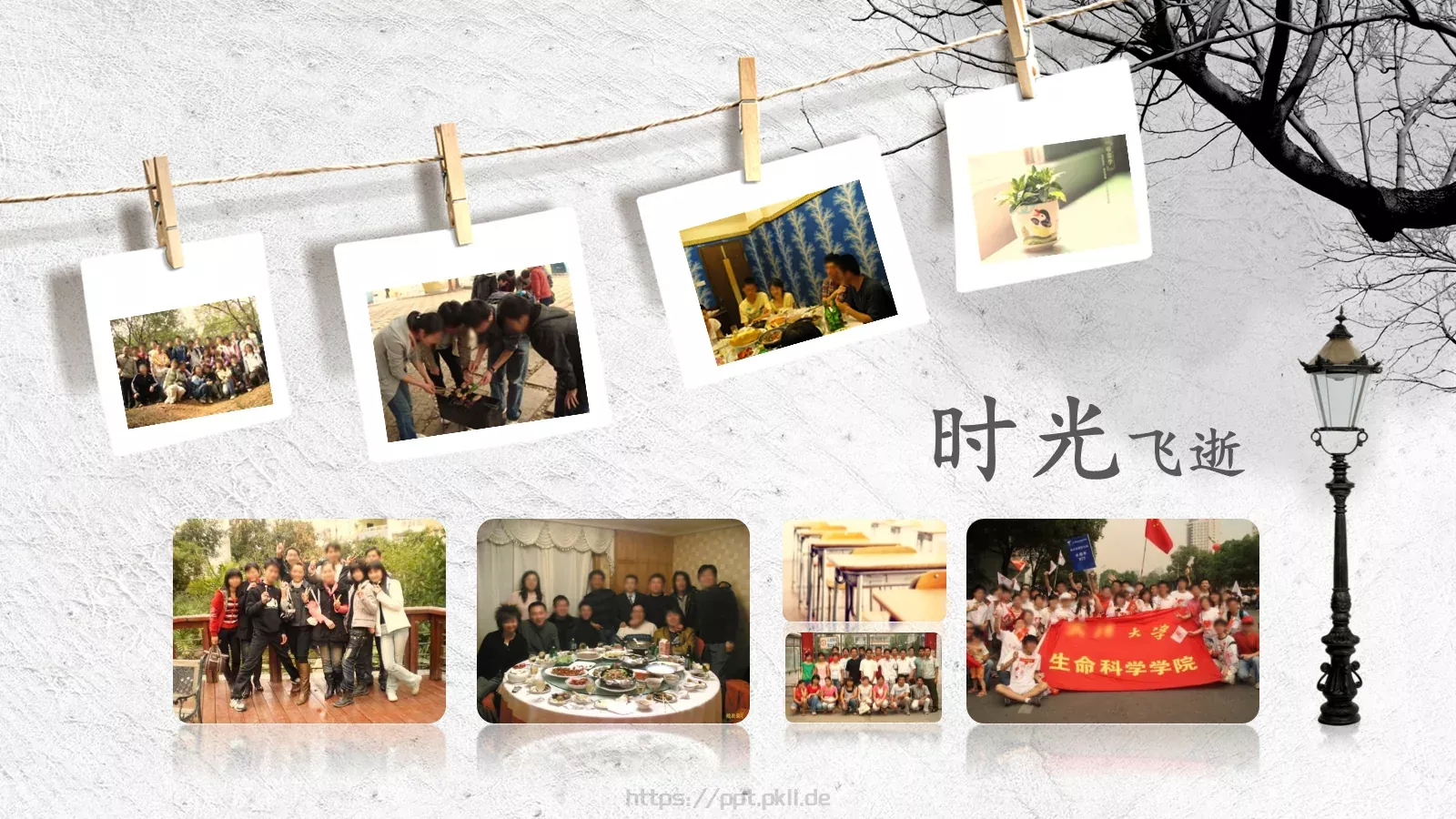 我们一起走过的青春同学聚会PPT模板 第 12 页预览图