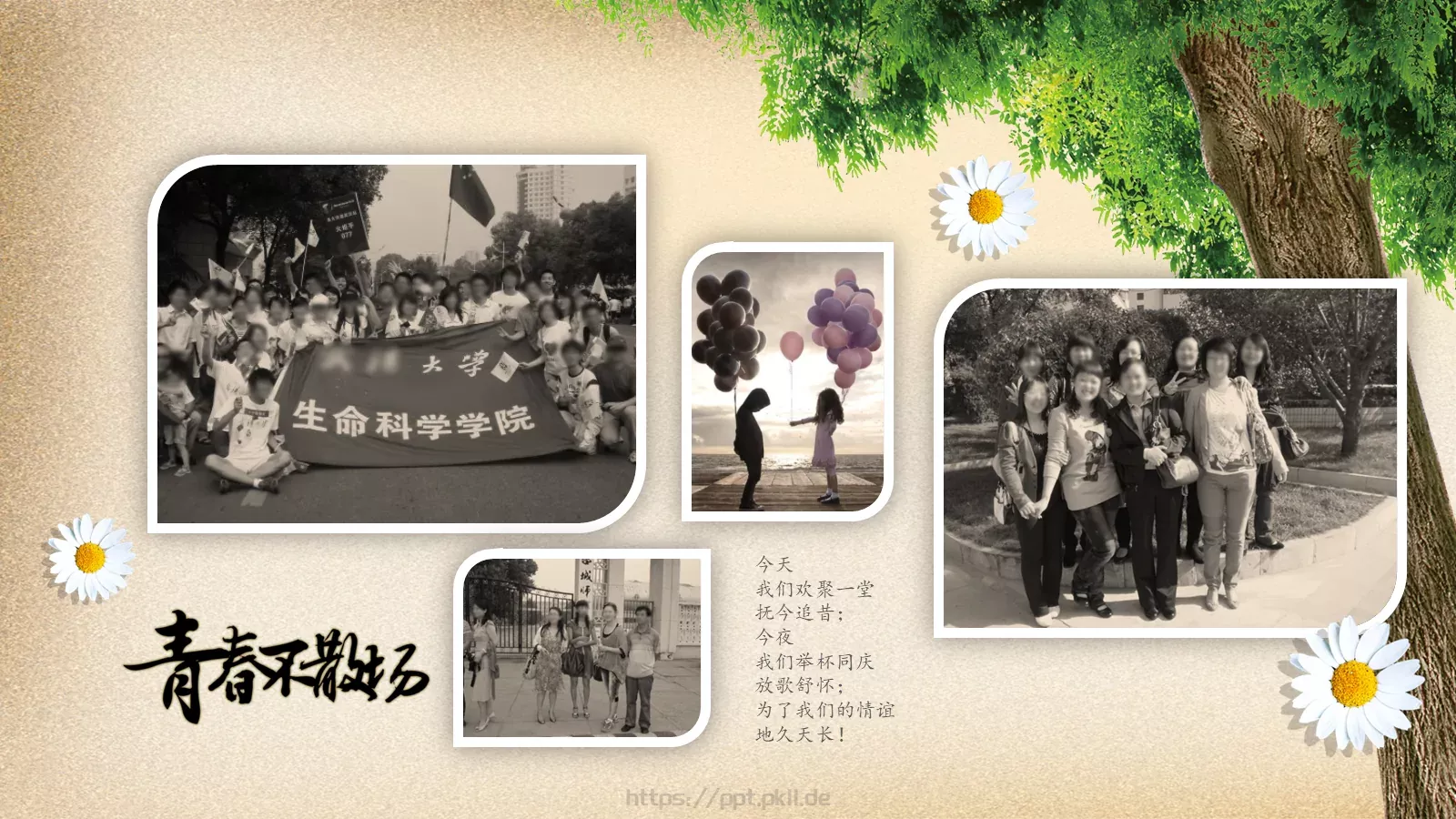 我们一起走过的青春同学聚会PPT模板 第 14 页预览图