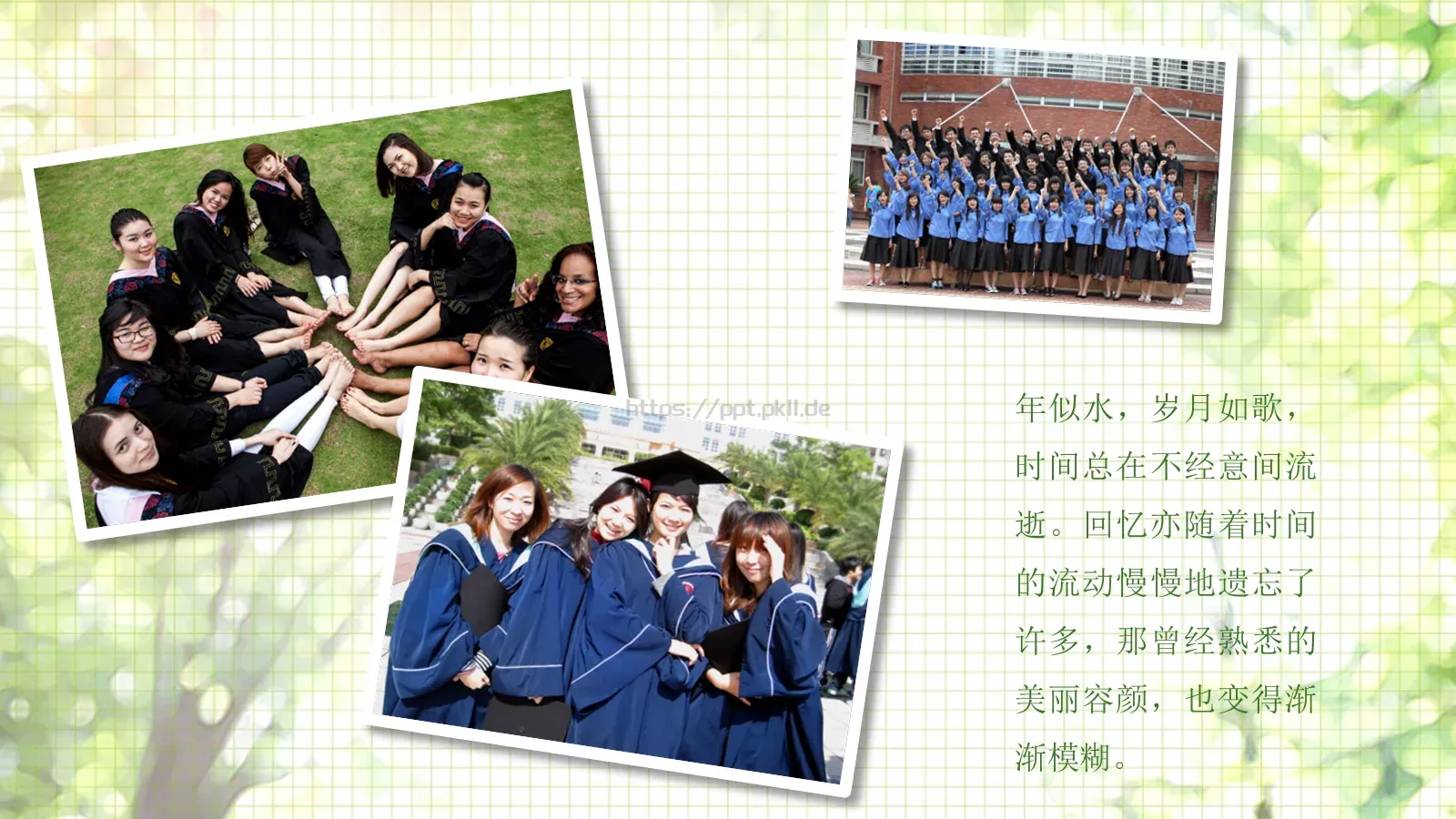 四川大学九九届中文系同学聚会PPT模板 第 8 页预览图