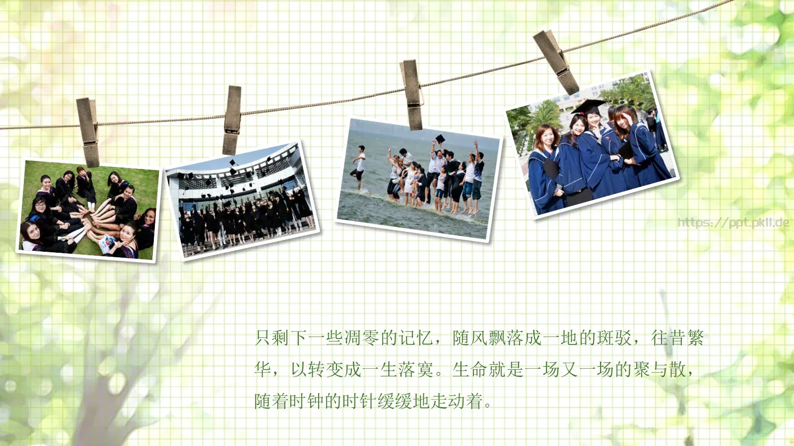 四川大学九九届中文系同学聚会PPT模板 第 14 页预览图