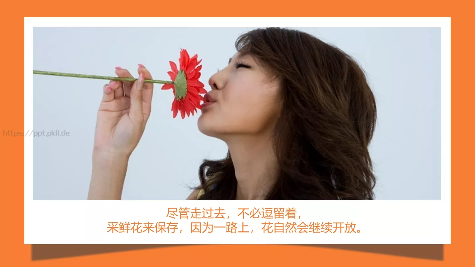 通用模板陪你通用 第 19 页预览图