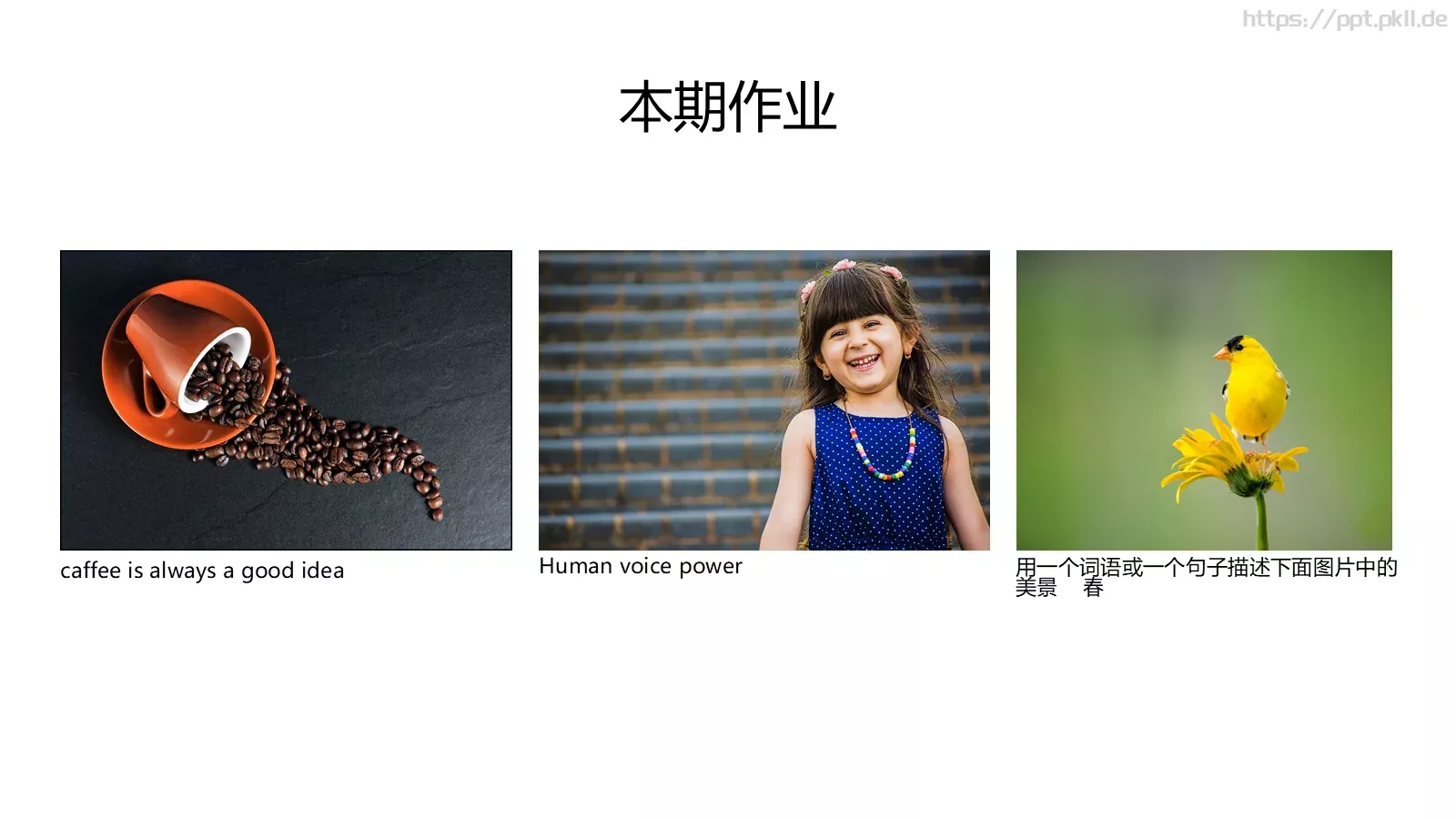 通用模板本期作业 第 1 页缩略图