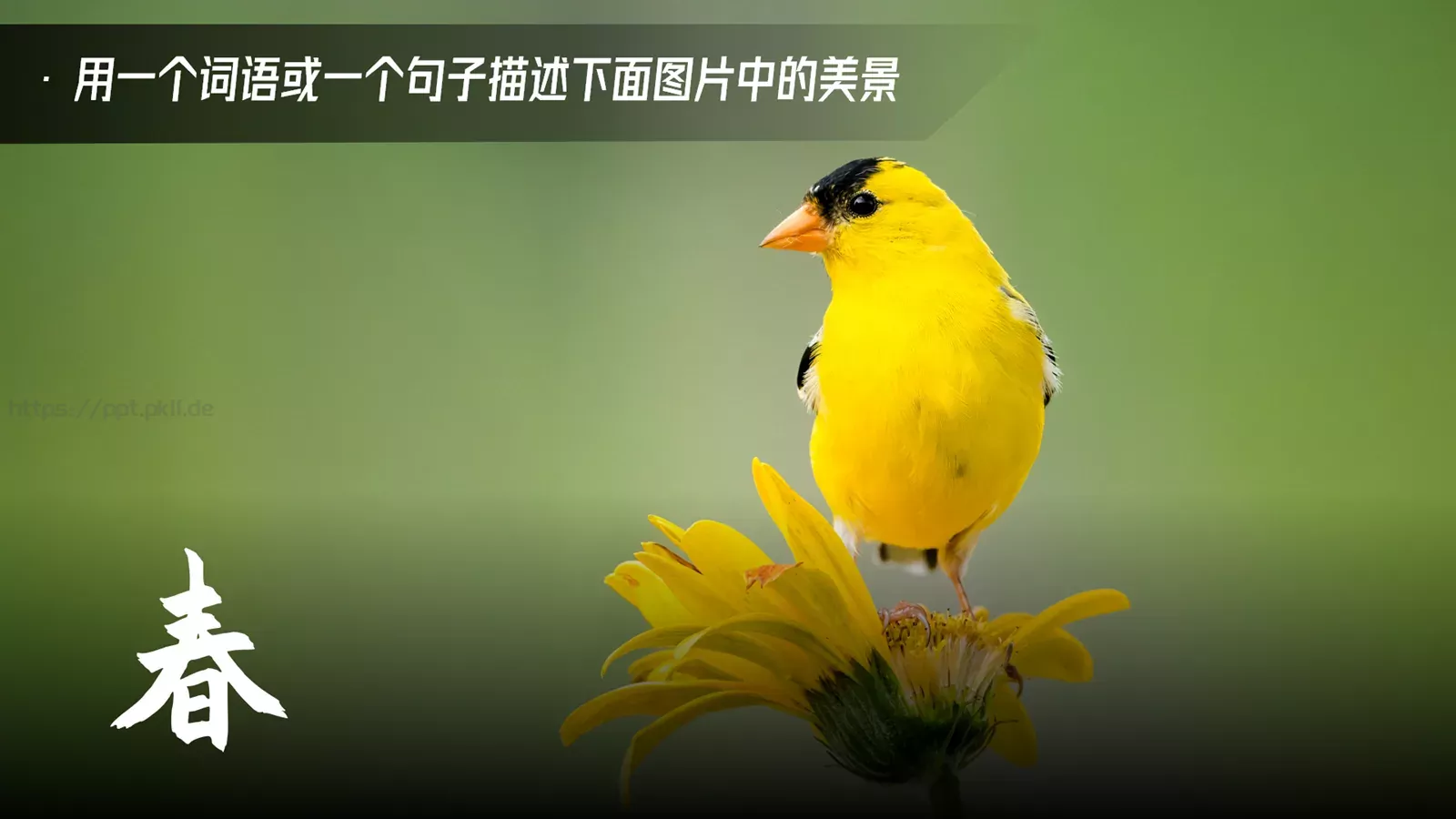 通用模板本期作业 第 10 页预览图