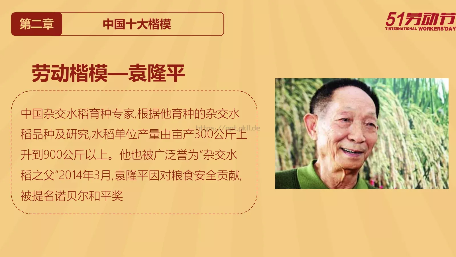 劳动节PPT模板 第 15 页预览图