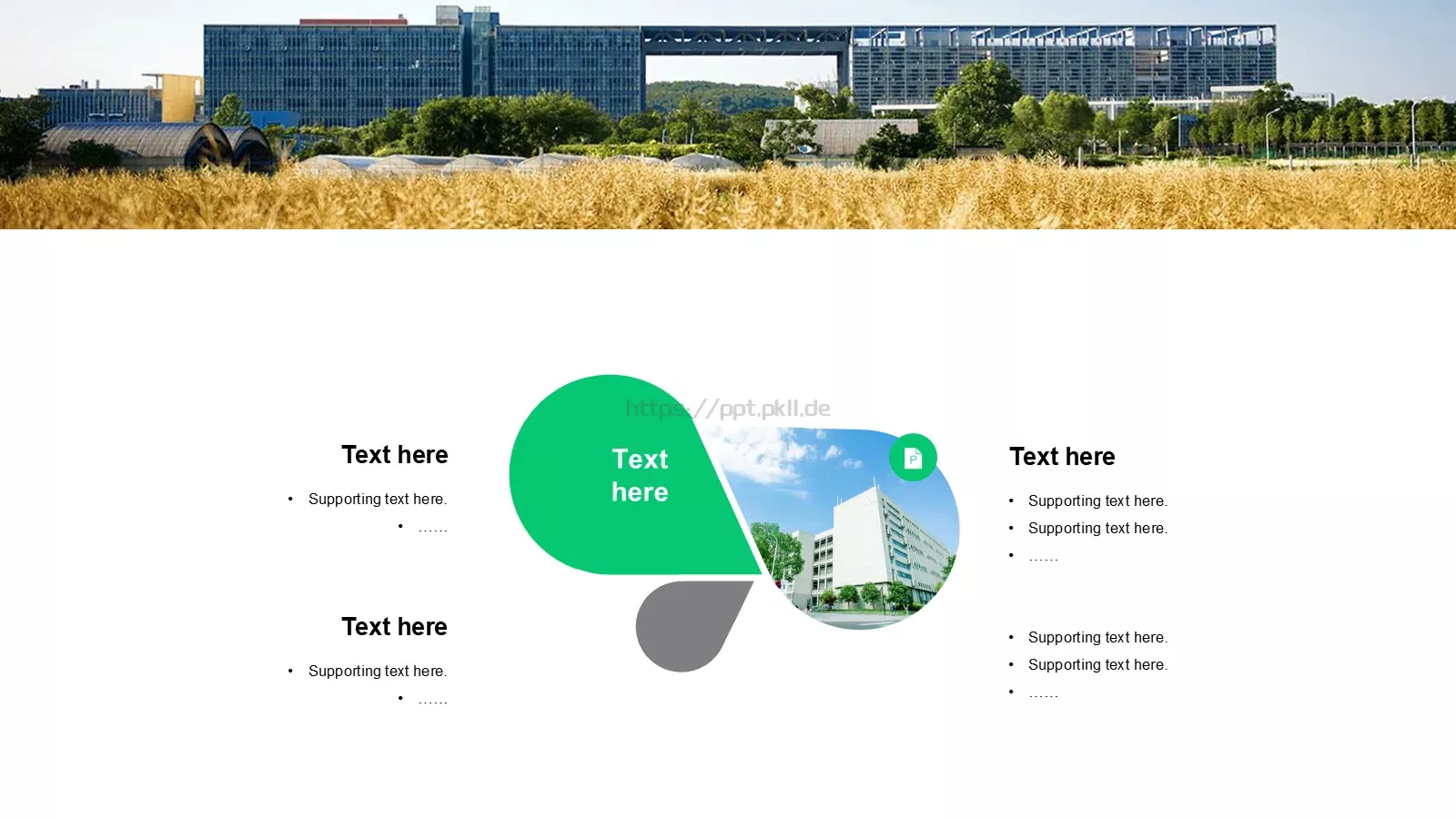 文学系学术答辩PPT模板 第 14 页预览图